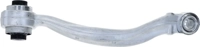 Track Control Arm Rear LEMFORDER